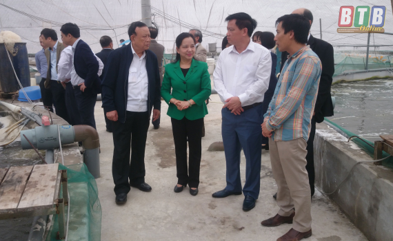 Hội đồng Thi đua - Khen thưởng Trung ương kiểm tra, giám sát tại huyện Thái Thụy