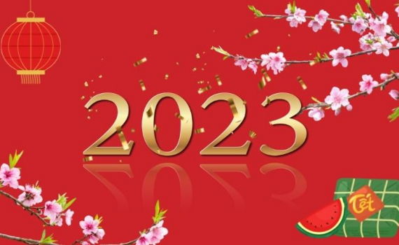 Chỉ thị số 16-CT/TU của Ban Thường vụ Tỉnh ủy Thái Bình về việc tổ chức Tết Quý Mão năm 2023