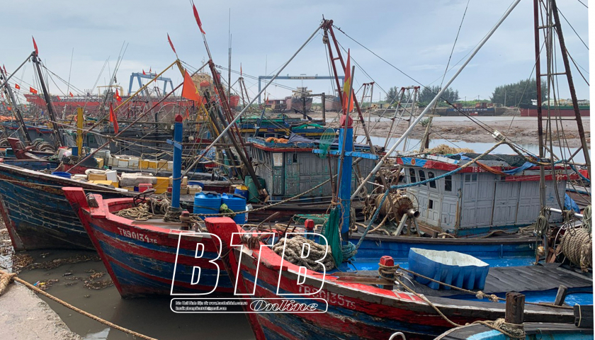 Nghị quyết số 56/NQ-HĐND về việc không tiếp tục thực hiện chủ trương đầu tư Dự án cải tạo, nâng cấp cảng cá kết hợp khu neo đậu tàu thuyền tránh trú bão Tân Sơn, huyện Thái Thụy