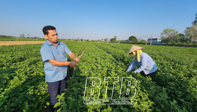 Động lực từ kinh tế nông nghiệp trong phát triển bền vững