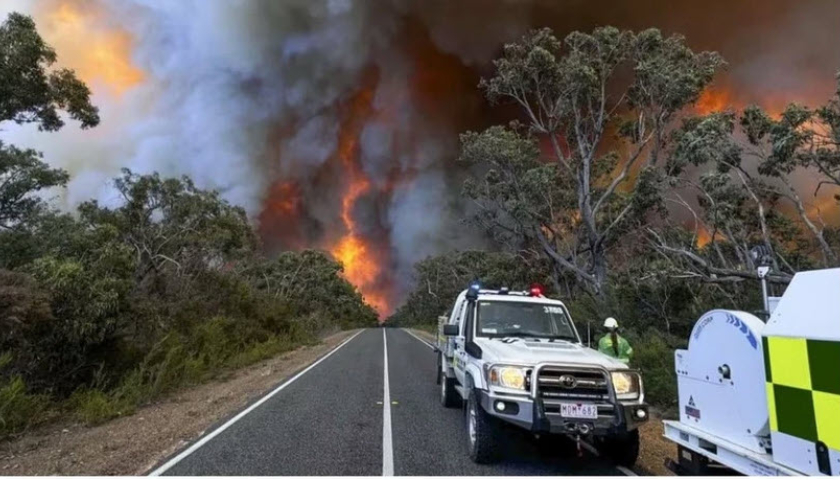 Thảm họa cháy rừng ở Australia: 74.000 ha rừng bị thiêu rụi