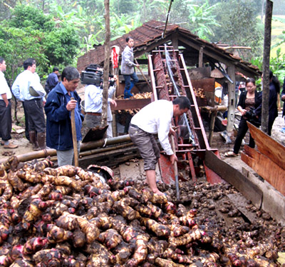 Nhiều mô hình kinh tế hiệu quả của nông dân Lóng Phiêng 