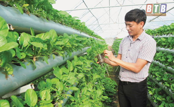 Nông dân Kông Chro đa dạng hóa sản xuất giúp nâng cao thu nhập
