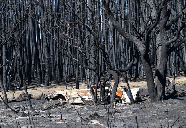 Giữa tâm bão cháy rừng, Australia liên tiếp phát hiện các vụ cố ý phóng hoả - Ảnh 8.