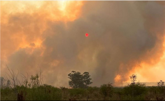Cháy rừng tại Argentina thiêu rụi 500.000 ha trong bối cảnh hạn hán