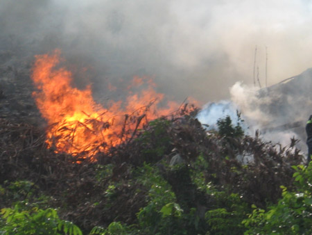 19 tỉnh có nguy cơ cháy rừng cấp cực kỳ nguy hiểm