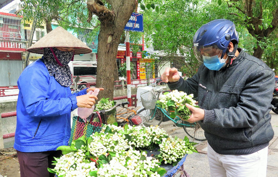 Mua nha truoc 30 tuoi o TP.HCM, Ha Noi, giac mo co xa voi? hinh anh 1 