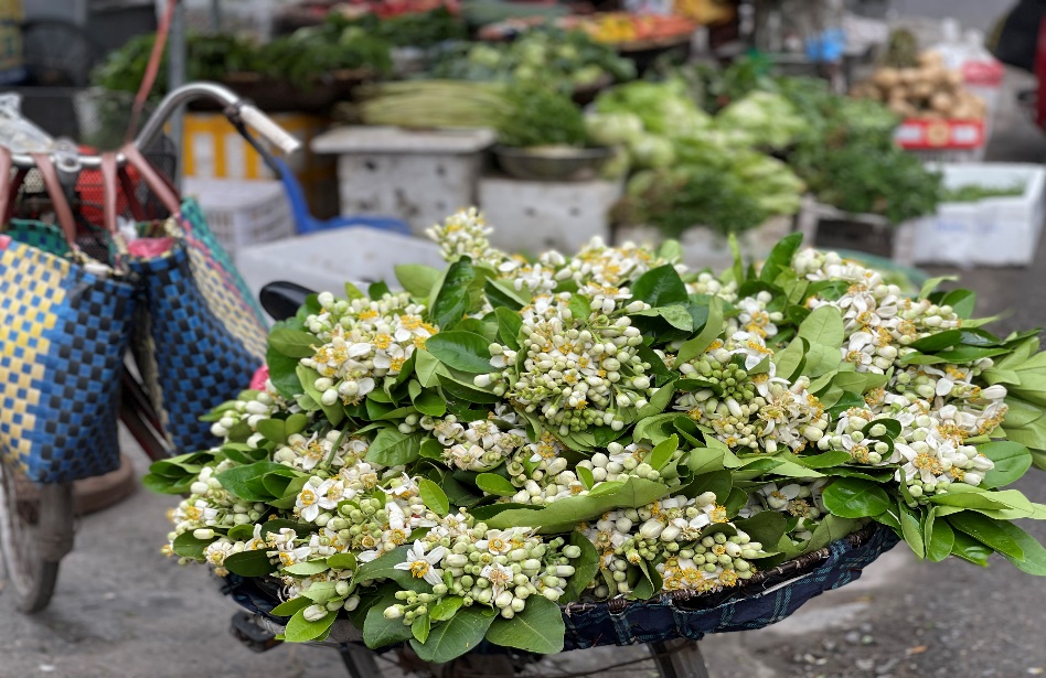 Mua nha truoc 30 tuoi o TP.HCM, Ha Noi, giac mo co xa voi? hinh anh 1 