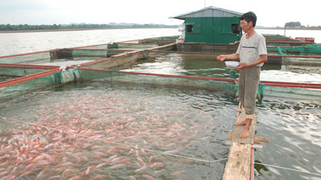 Ban hành quy chuẩn kỹ thuật quốc gia về điều kiện nuôi thủy sản