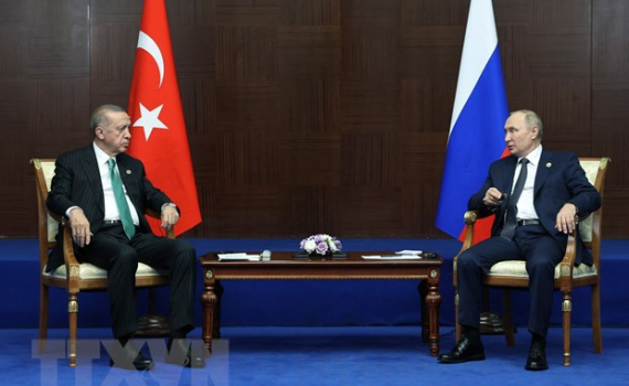 Tổng thống Nga, Thổ Nhĩ Kỳ điện đàm về nhà máy điện hạt nhân Akkuyu