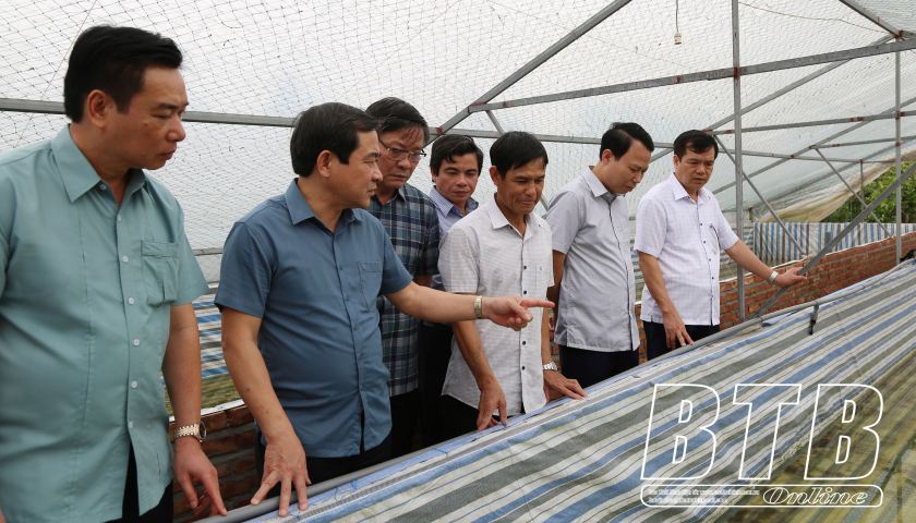 Đồng chí Nguyễn Tiến Thành, Phó Bí thư thường trực Tỉnh ủy, Chủ tịch HĐND tỉnh thăm mô hình nông dân sản xuất kinh doanh giỏi   