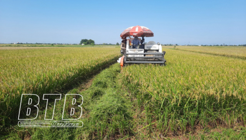 Nghị quyết số 12/NQ-HĐND ngày 10/4/2024 phê duyệt chuyển mục đích sử dụng đất trồng lúa để thực hiện các dự án trên địa bàn tỉnh Thái Bình 