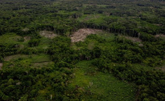 Vụ tai nạn máy bay ở Colombia: Bốn trẻ em sống sót thần kỳ sau 17 ngày