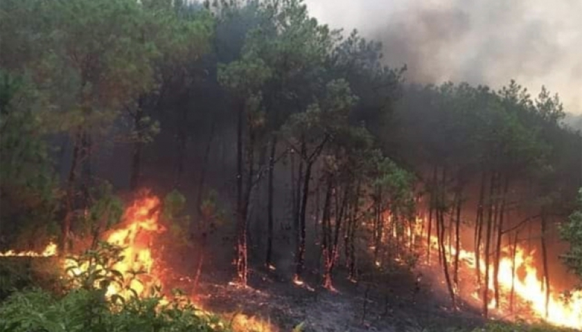 Công điện của Thủ tướng về việc quyết liệt triển khai các biện pháp phòng cháy, chữa cháy rừng trên phạm vi cả nước