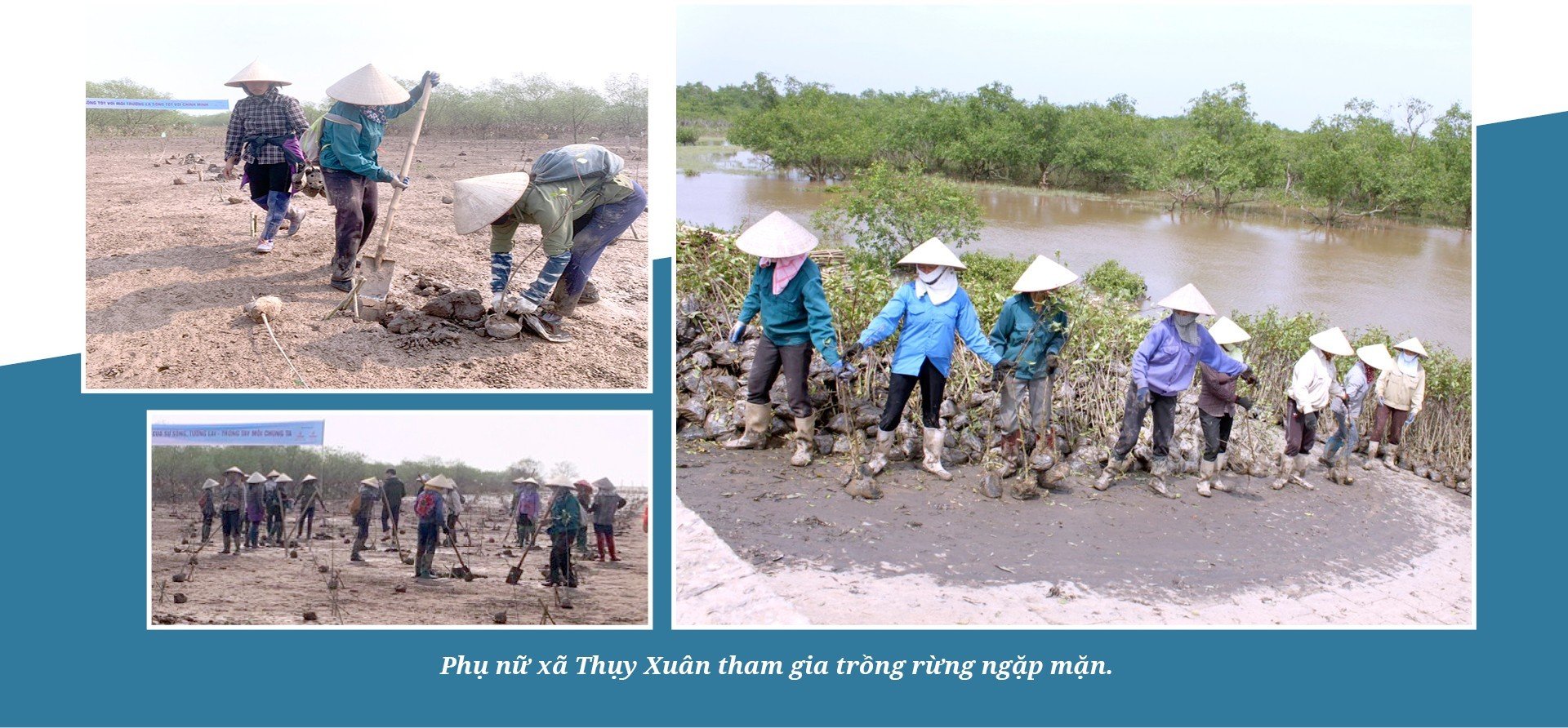 Mua nha truoc 30 tuoi o TP.HCM, Ha Noi, giac mo co xa voi? hinh anh 1 