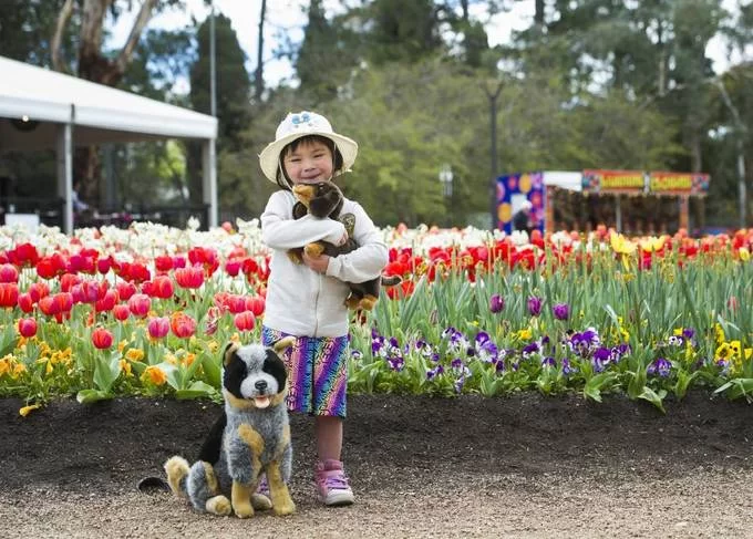Lễ hội hoa lớn nhất Nam bán cầu ở Australia