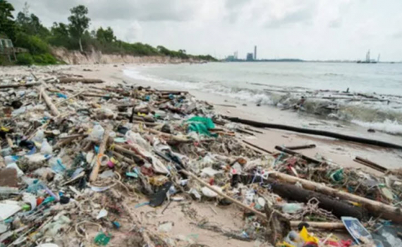 Người tiêu dùng Thái Lan giảm sử dụng 1,5 tỉ túi nhựa trong 1 năm