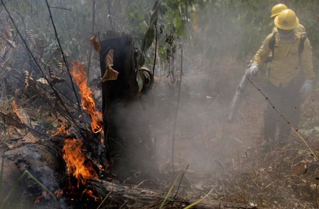 Rừng châu Phi cháy gấp 3 lần Amazon - Ảnh 1.
