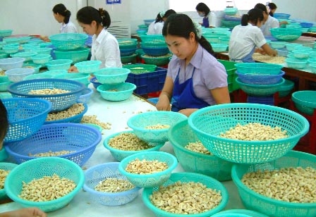 Gia tăng nhập quả sấy khô của Việt Nam