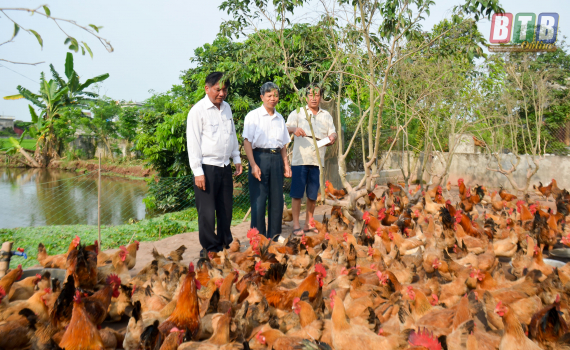 Hiệu quả phong trào thi đua “Cựu chiến binh gương mẫu”