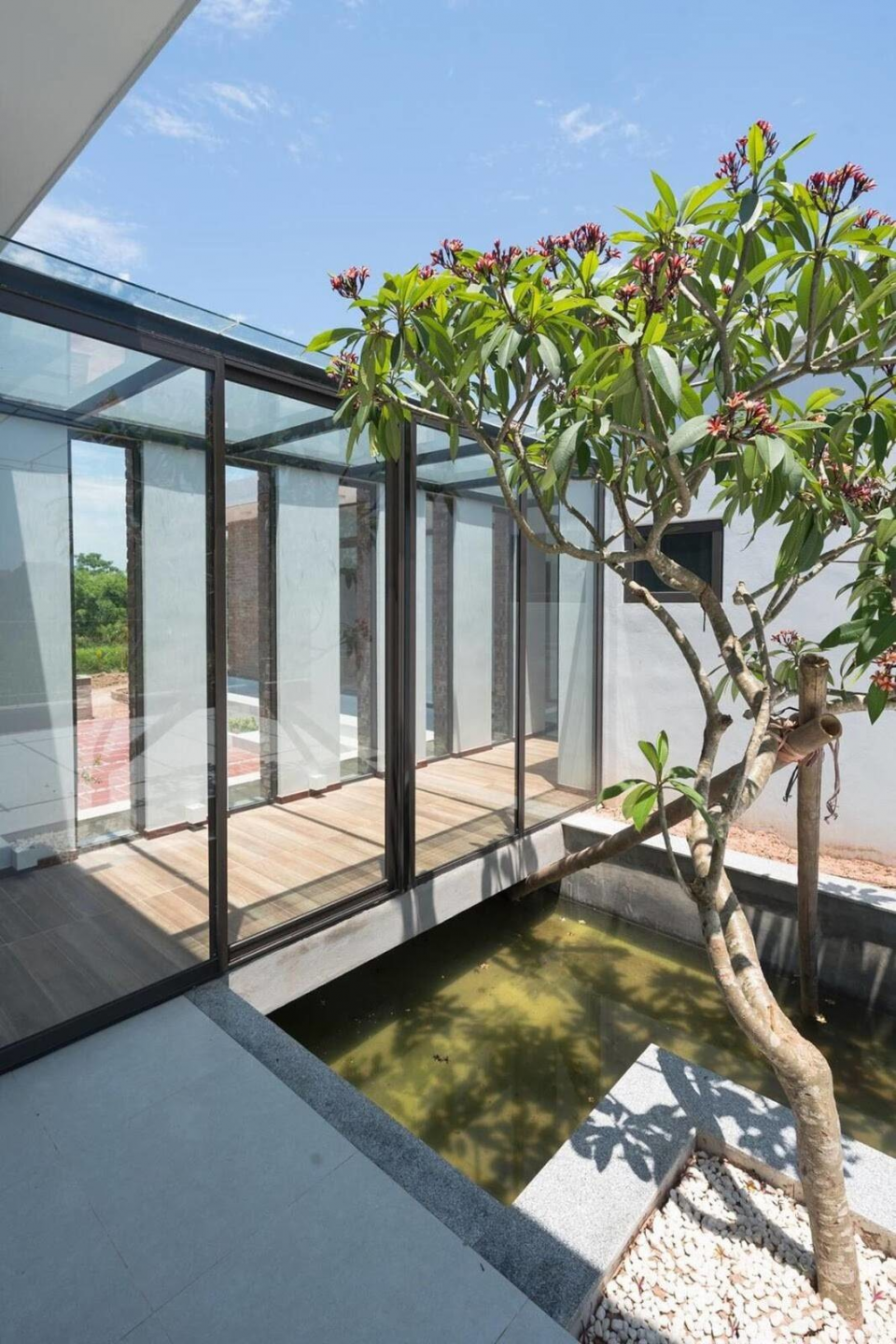 Nhà kính hiện đại giữa làng