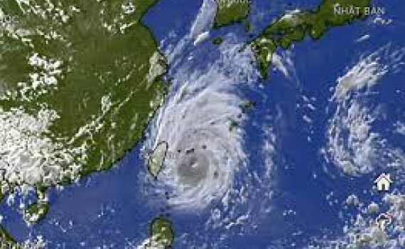 Bão Muifa đổ bộ Nhật Bản gây mưa, gió dữ dội