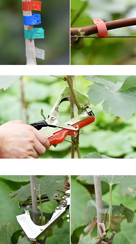 Cách sử dụng dụng cụ buộc dây leo