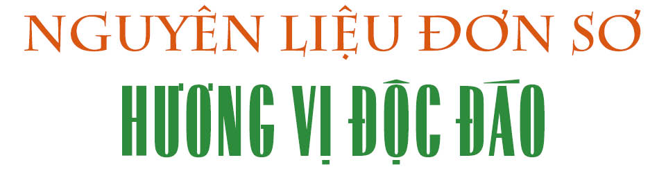 Mua nha truoc 30 tuoi o TP.HCM, Ha Noi, giac mo co xa voi? hinh anh 2 